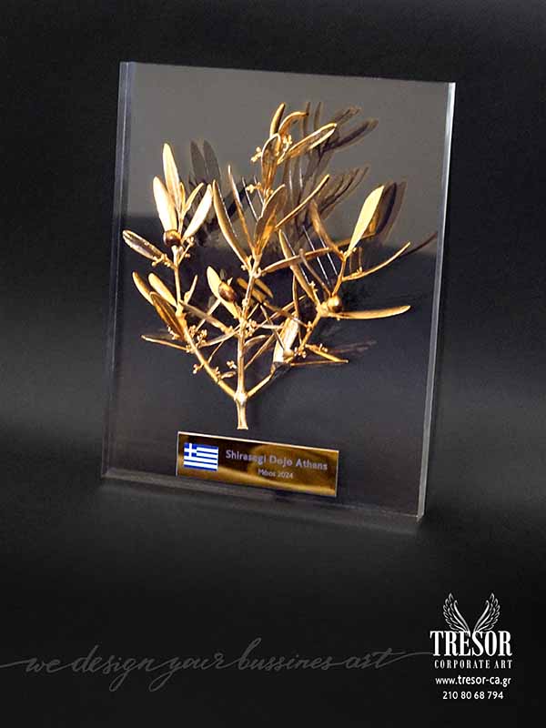 Tresor Corporate Art Δώρα βραβεία με χάραξη laser και εκτύπωση UV Τιμητική πλακέτα τιμής ένεκεν Ευχαριστήριο δώρο Ψαγμένα βραβεία Ιδεες για δώρα Τρόπαια